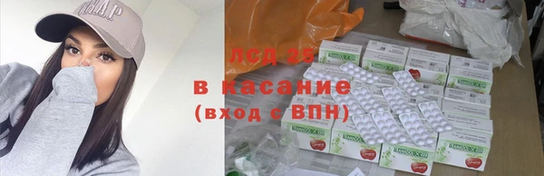 стаф Арсеньев