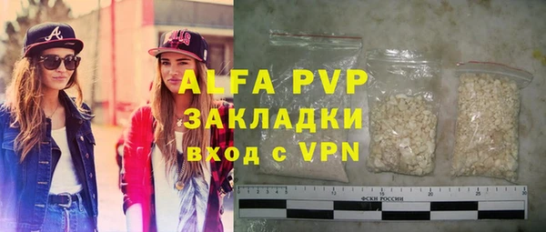 стаф Арсеньев