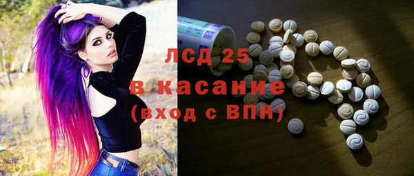 стаф Арсеньев