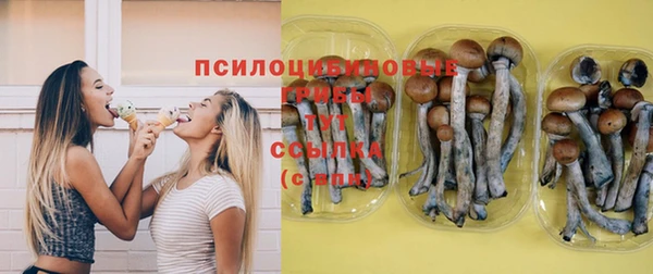 ПСИЛОЦИБИНОВЫЕ ГРИБЫ Армянск