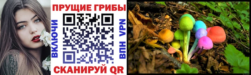 Галлюциногенные грибы Psilocybe  blacksprut ССЫЛКА  Руза  наркошоп 
